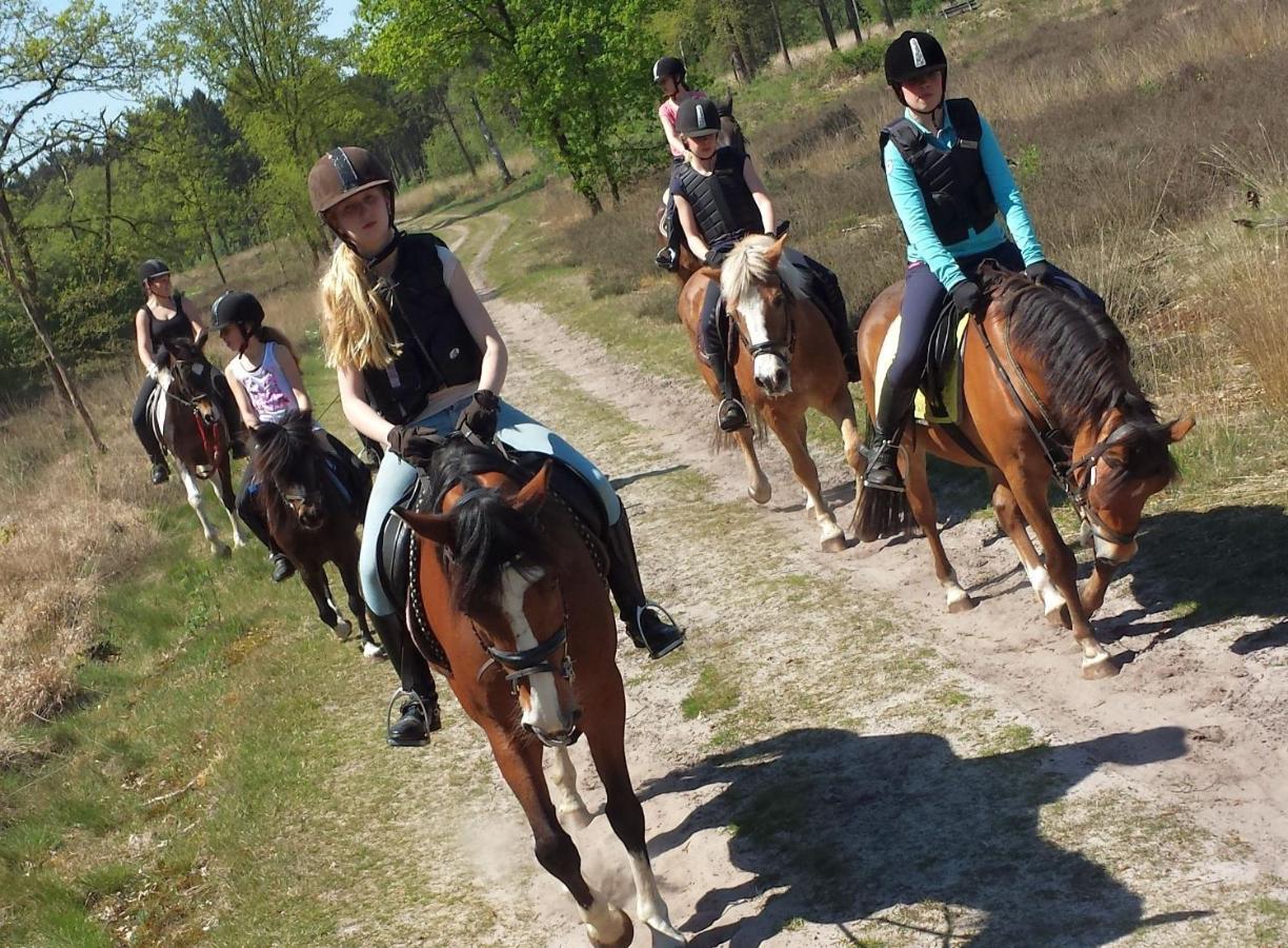 Horsetellerie Rheezerveen Hardenberg Εξωτερικό φωτογραφία