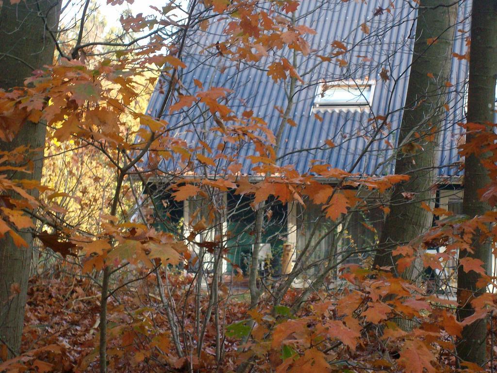 Horsetellerie Rheezerveen Hardenberg Εξωτερικό φωτογραφία